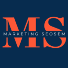 marketingseosem.com